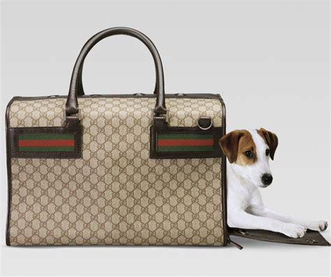 gucci dog carrier bag